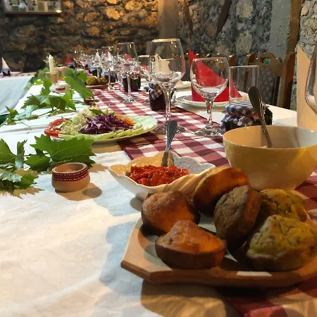Pivnice Radosavljevic - Ljubina Pivnica Bed & Breakfast