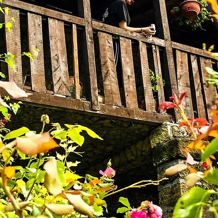 Bed & Breakfast Pivnice Radosavljevic - Ljubina Pivnica Rogljevo