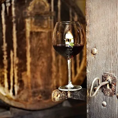 Bed & Breakfast Pivnice Radosavljevic - Ljubina Pivnica Rogljevo