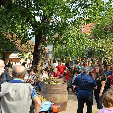 Pivnice Radosavljevic - Ljubina Pivnica B&B