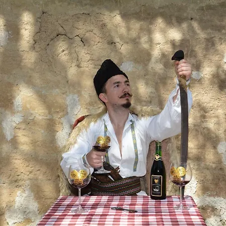 B&B Pivnice Radosavljevic - Ljubina Pivnica 3*