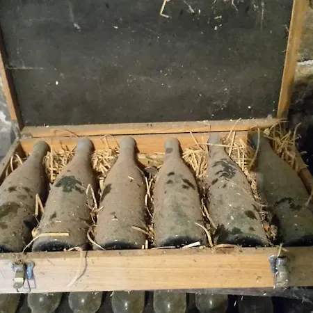 Pivnice Radosavljevic - Ljubina Pivnica 3*