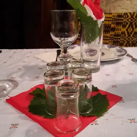 Pivnice Radosavljevic - Ljubina Pivnica Bed & Breakfast Rogljevo
